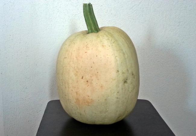 Name:  kbk5.jpg
Views: 612
Size:  30.1 KB