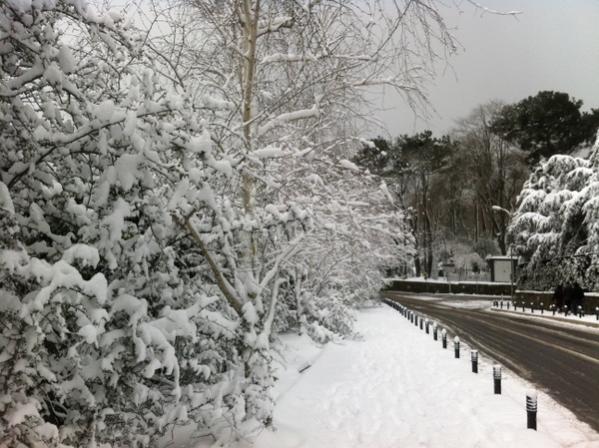 Name:  178.jpg
Views: 785
Size:  57.0 KB
