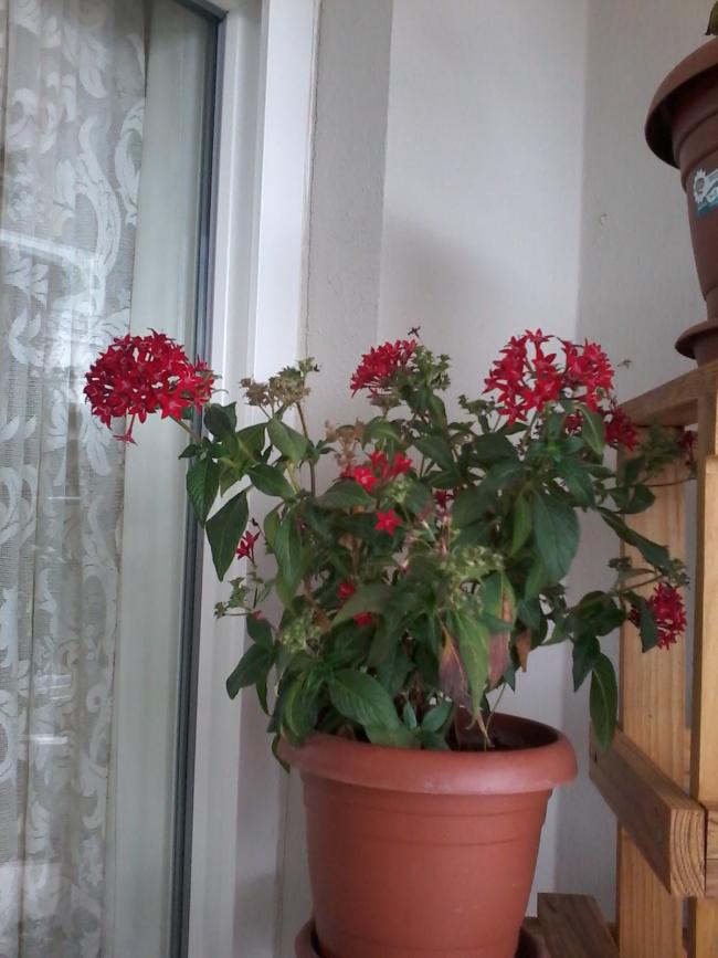 Name:  20151025_145131.jpg
Views: 2140
Size:  62.8 KB