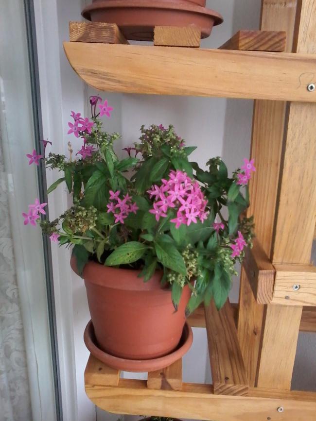 Name:  20151025_145140.jpg
Views: 1896
Size:  67.8 KB