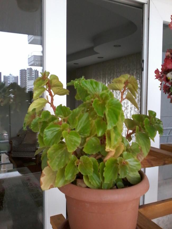 Name:  20151025_145404.jpg
Views: 1375
Size:  58.3 KB