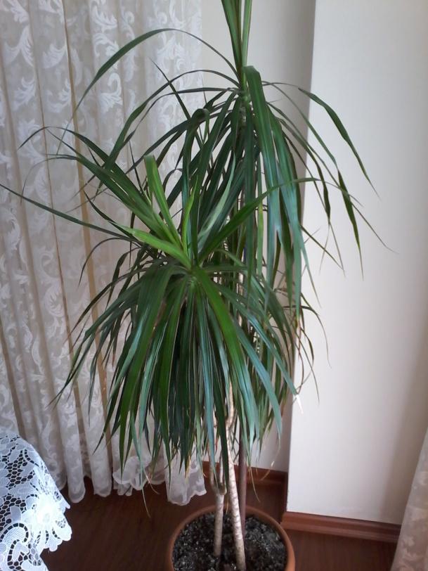 Name:  balkon ieklerim 124.jpg
Views: 1498
Size:  72.4 KB