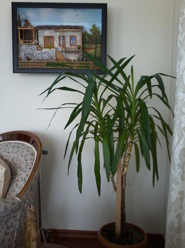 Name:  balkon ieklerim 125.jpg
Views: 1587
Size:  66.7 KB