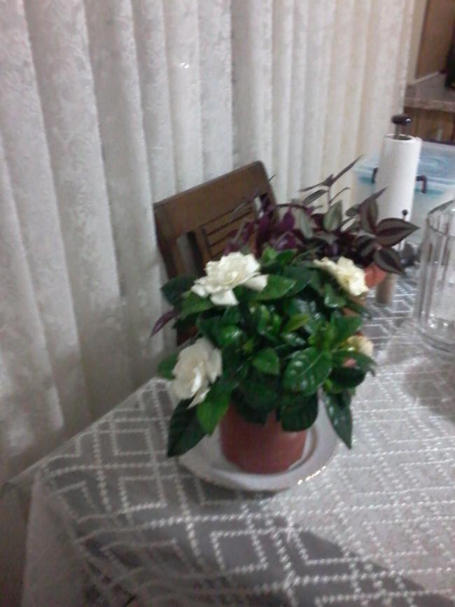 Name:  20150315_204047.jpg
Views: 663
Size:  56.7 KB