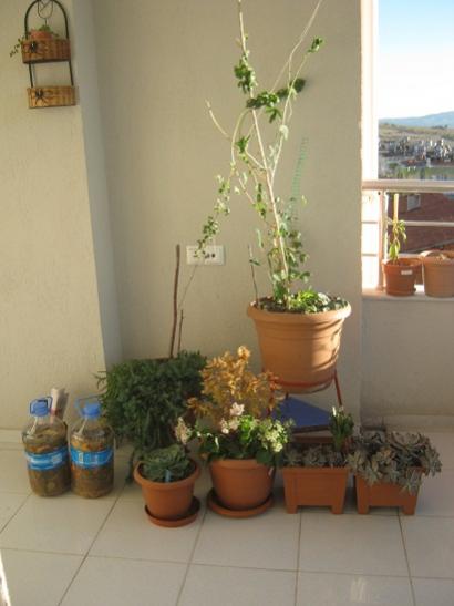 Name:  toplu.jpg
Views: 764
Size:  25.3 KB