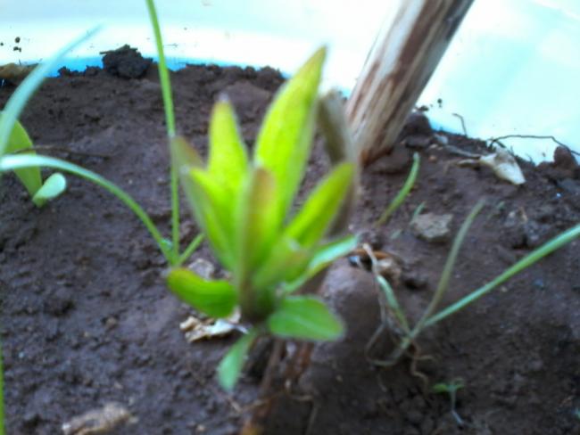Name:  yeni klasr 025.jpg
Views: 716
Size:  37.0 KB