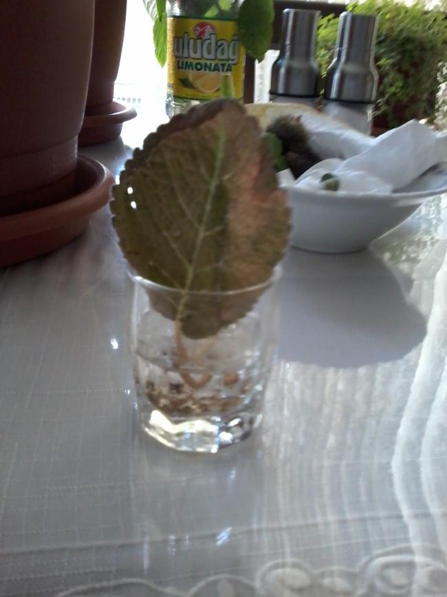 Name:  yeni klasr 040.jpg
Views: 713
Size:  49.4 KB