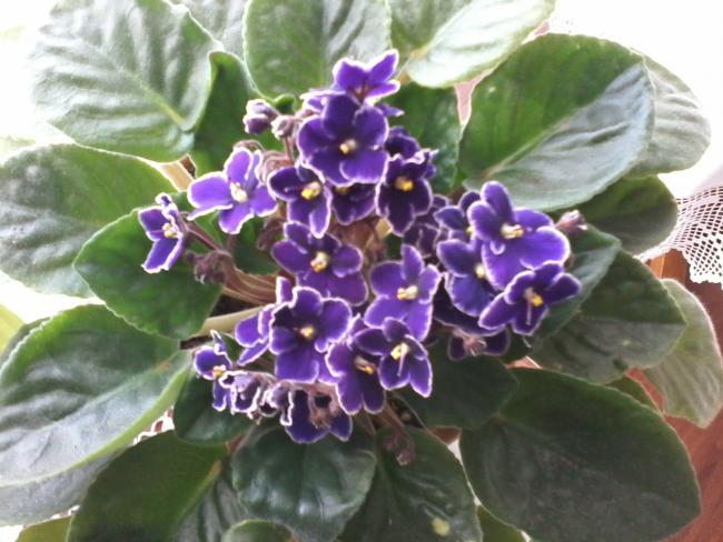 Name:  yeni klasr 032.jpg
Views: 759
Size:  50.1 KB