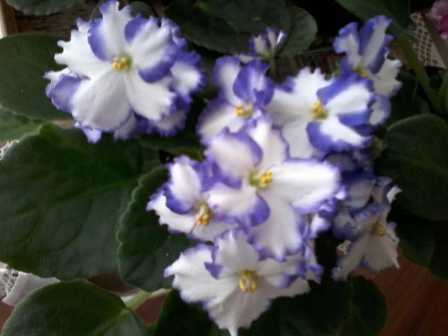 Name:  yeni klasr 033.jpg
Views: 663
Size:  33.2 KB
