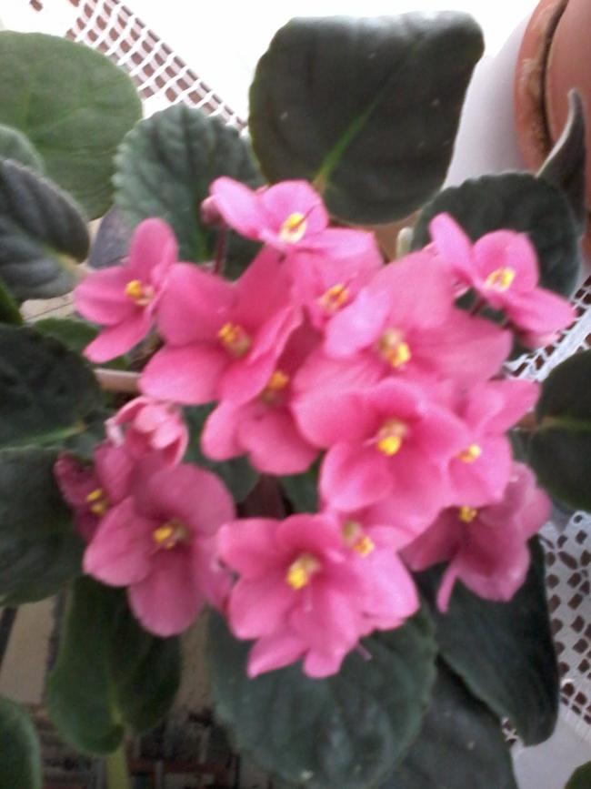 Name:  yeni klasr 035.jpg
Views: 757
Size:  54.5 KB