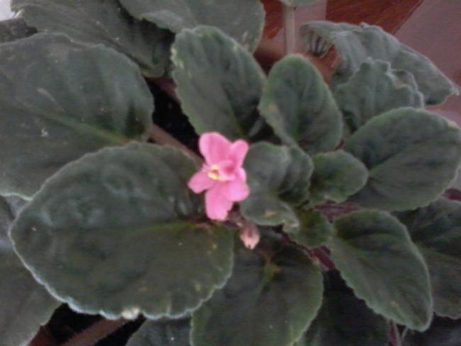 Name:  yeni klasr 039.jpg
Views: 734
Size:  29.1 KB