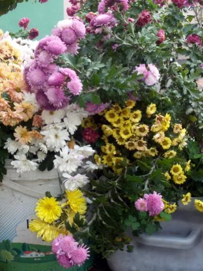 Name:  20151129_125634.jpg
Views: 398
Size:  47.3 KB