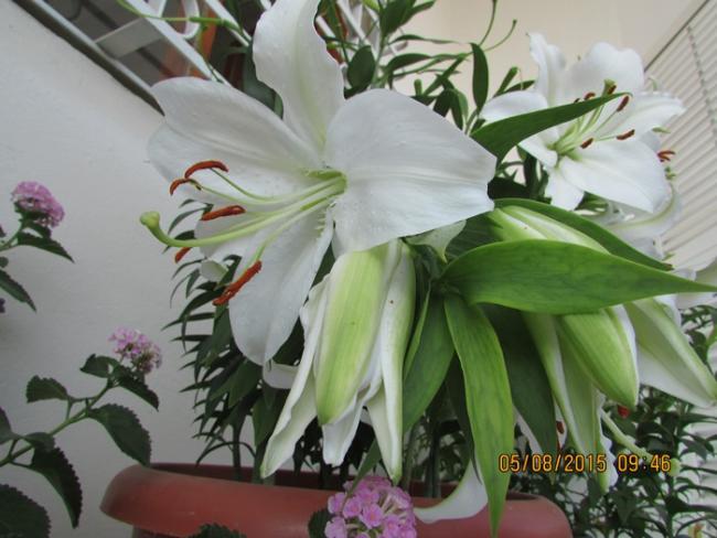 Name:  IMG_1792.jpg
Views: 1057
Size:  45.6 KB