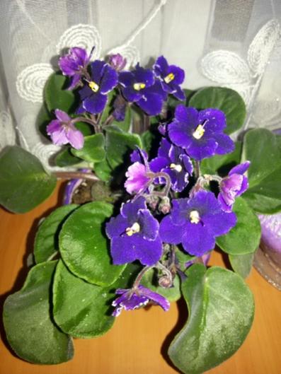 Name:  20151118_151840.jpg
Views: 759
Size:  37.8 KB
