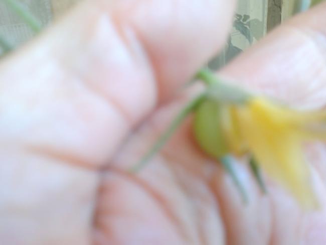 Name:  231220153767.jpg
Views: 443
Size:  16.1 KB