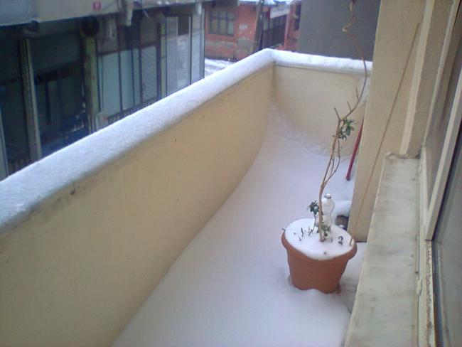 Name:  Fotoraf2580.jpg
Views: 568
Size:  28.7 KB