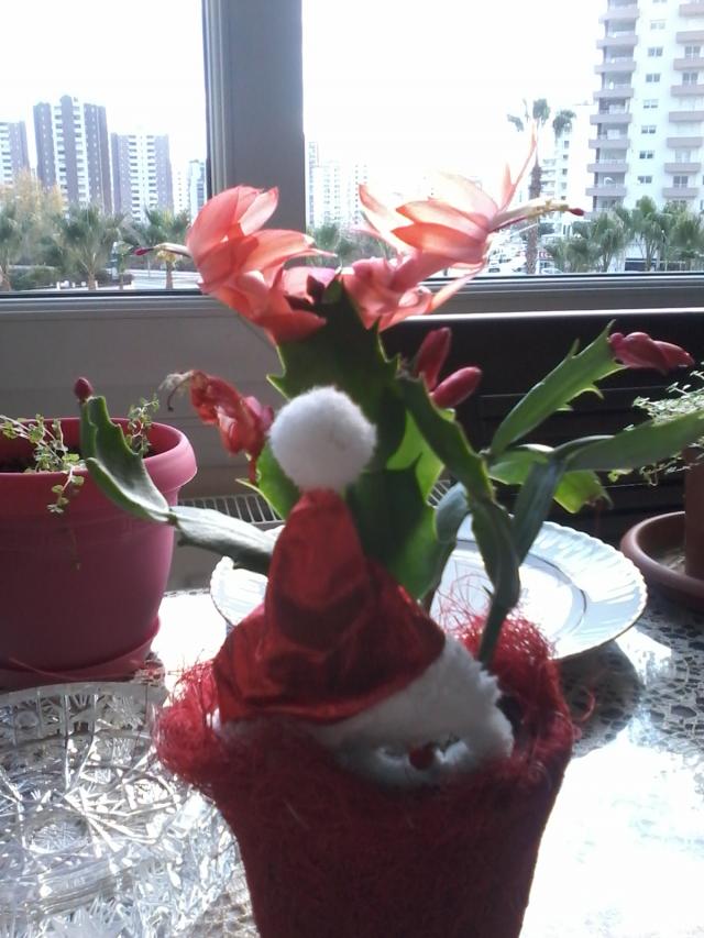 Name:  balkon ieklerim 089.jpg
Views: 527
Size:  69.9 KB