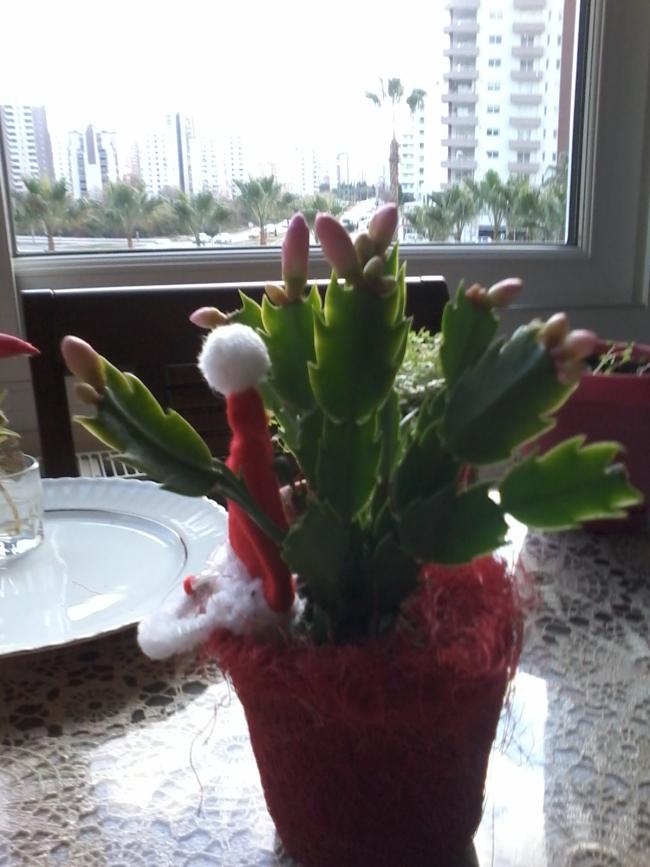 Name:  balkon ieklerim 090.jpg
Views: 506
Size:  62.7 KB
