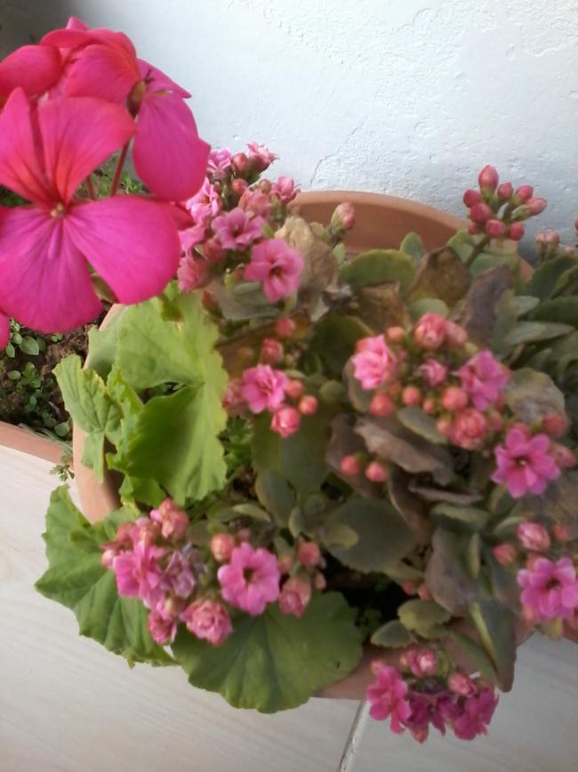 Name:  balkon ieklerim 094.jpg
Views: 524
Size:  61.3 KB