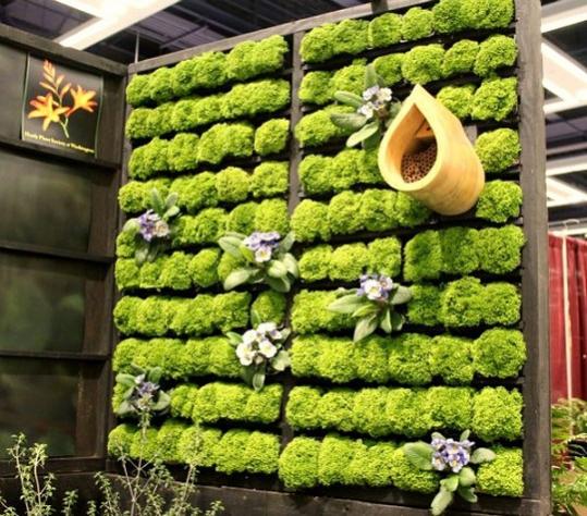 Name:  Combine-several-different-wooden-pallets-to-create-a-grand-living-wall-planter.jpg
Views: 1788
Size:  65.8 KB
