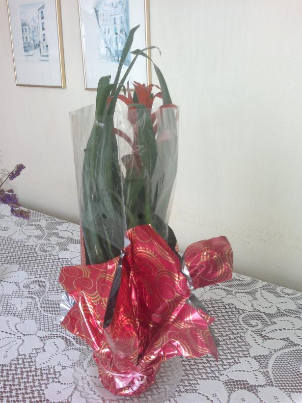 Name:  140120163822.jpg
Views: 323
Size:  71.4 KB