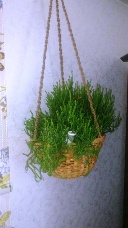 Name:  021.jpg
Views: 461
Size:  41.2 KB