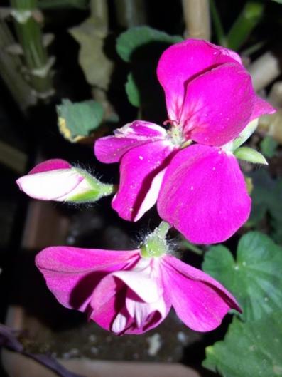 Name:  20160120_142645.jpg
Views: 533
Size:  29.8 KB