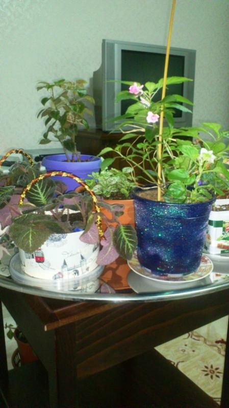 Name:  005.jpg
Views: 611
Size:  51.8 KB