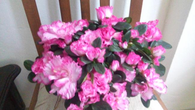 Name:  20160124_151804.jpg
Views: 353
Size:  35.4 KB