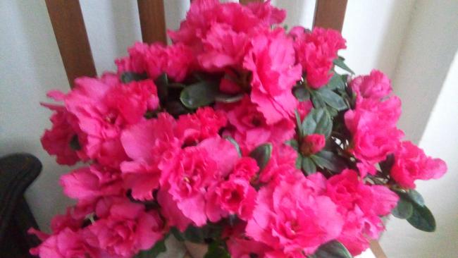 Name:  20160124_151849.jpg
Views: 592
Size:  33.9 KB