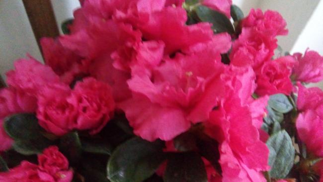 Name:  20160124_151856.jpg
Views: 572
Size:  29.5 KB