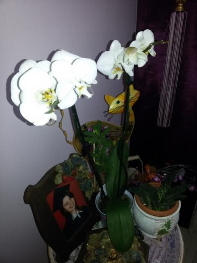 Name:  20160120_125938.jpg
Views: 448
Size:  23.6 KB