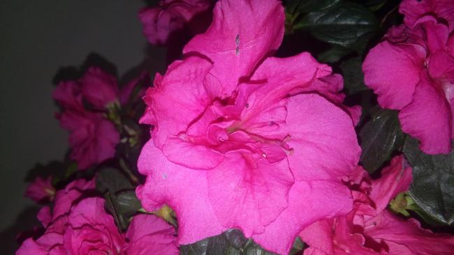 Name:  20160129_071547.jpg
Views: 448
Size:  32.8 KB