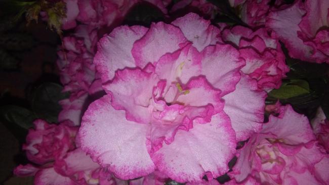 Name:  20160129_071506.jpg
Views: 448
Size:  33.5 KB