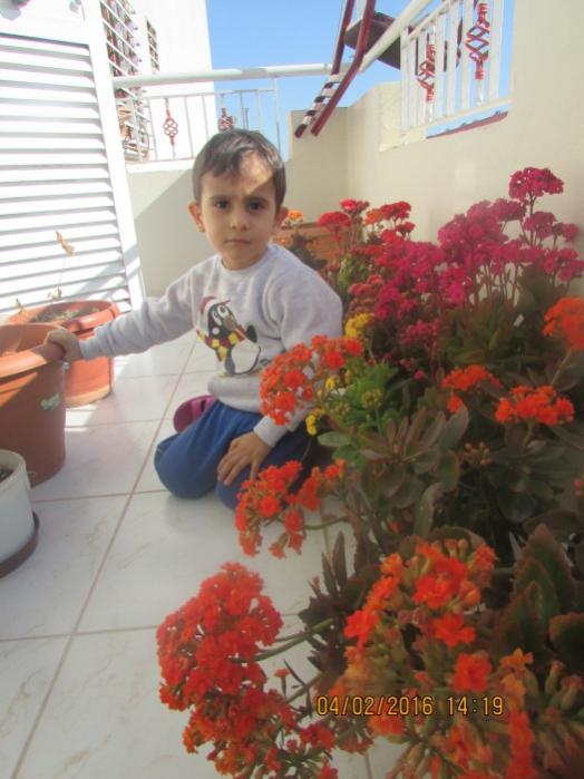 Name:  IMG_2309.jpg
Views: 767
Size:  50.7 KB