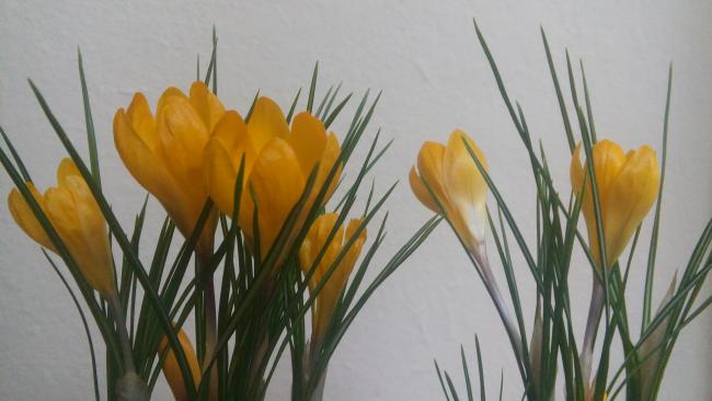 Name:  20160209_133159.jpg
Views: 456
Size:  32.8 KB
