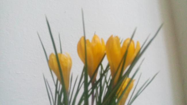 Name:  20160209_133243.jpg
Views: 433
Size:  18.9 KB