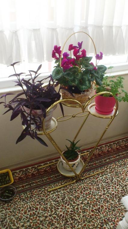 Name:  001.jpg
Views: 677
Size:  60.1 KB