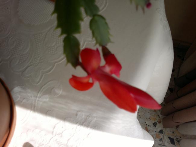 Name:  070220163876.jpg
Views: 298
Size:  24.8 KB
