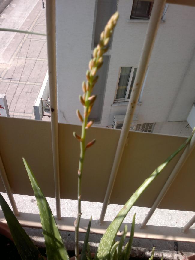 Name:  200220163942.jpg
Views: 281
Size:  57.1 KB