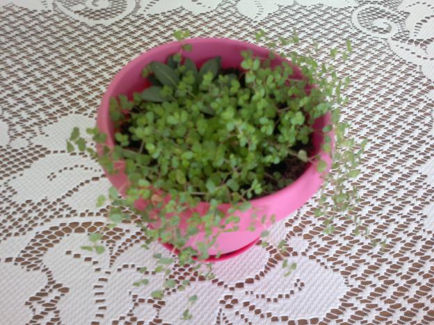 Name:  200220163907.jpg
Views: 436
Size:  70.9 KB