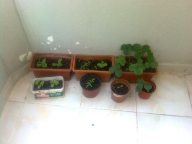 Name:  Grnt0406.jpg
Views: 732
Size:  22.4 KB