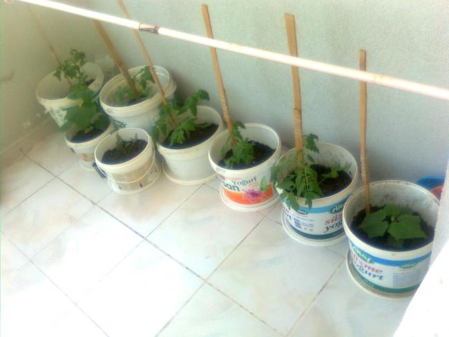 Name:  Grnt0408.jpg
Views: 631
Size:  32.0 KB