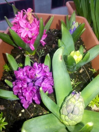 Name:  20160228_171009.jpg
Views: 573
Size:  39.5 KB