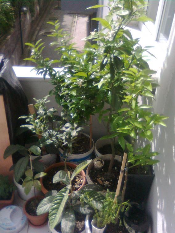 Name:  Grnt1055.jpg
Views: 819
Size:  72.3 KB
