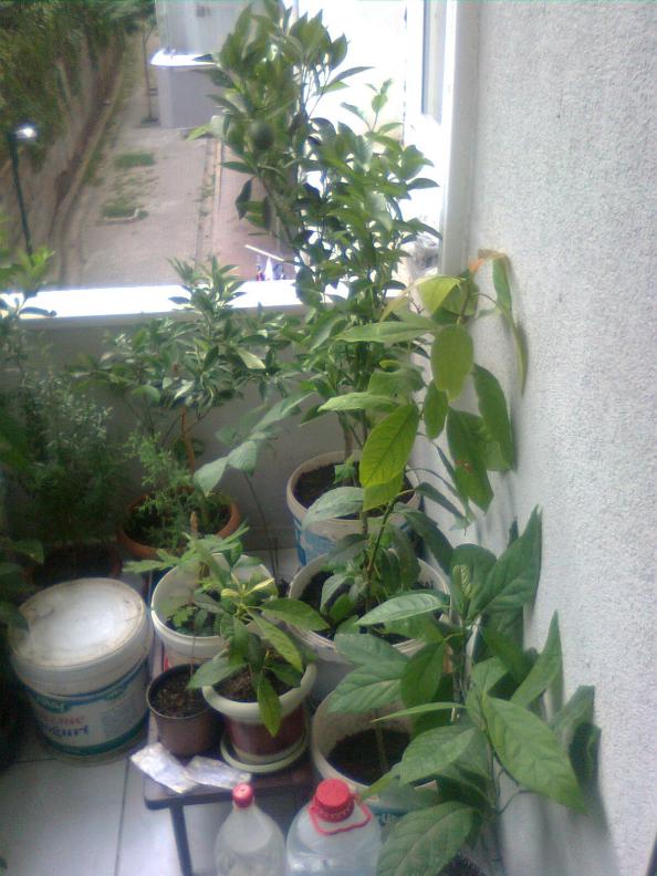 Name:  Grnt1103.jpg
Views: 660
Size:  71.5 KB