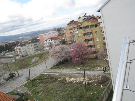 Name:  bademler.jpg
Views: 794
Size:  35.0 KB