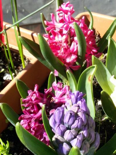 Name:  20160304_115132.jpg
Views: 558
Size:  43.6 KB