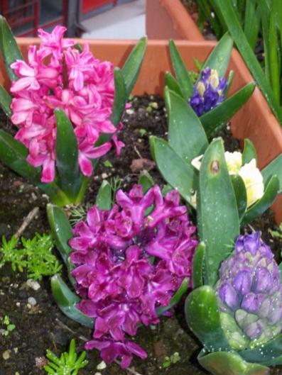 Name:  20160302_161156.jpg
Views: 558
Size:  42.8 KB