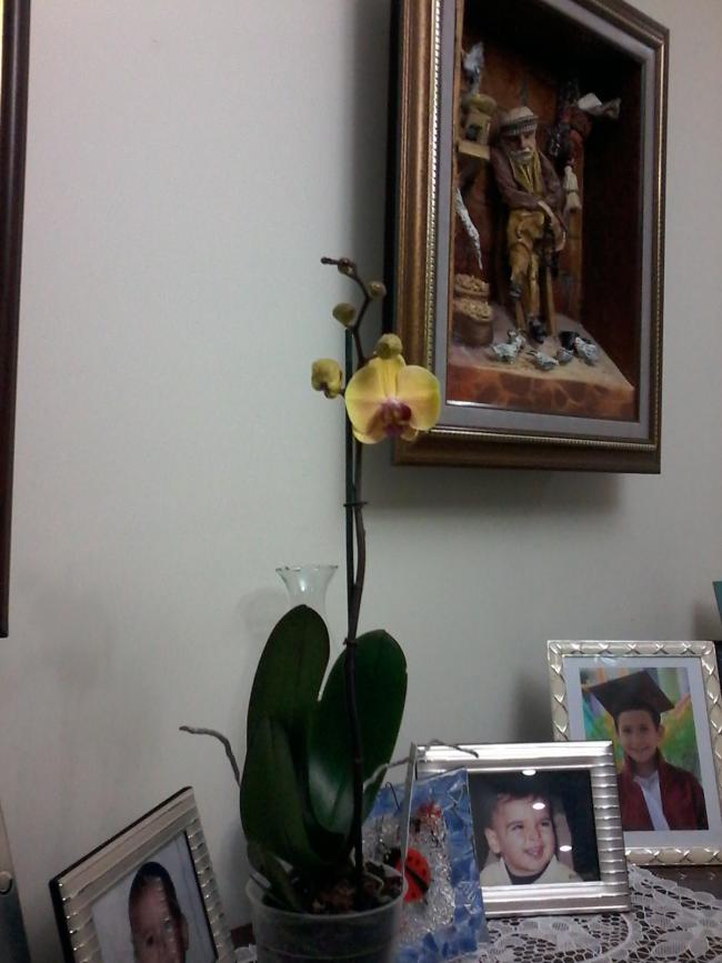 Name:  Naddide tlf 001.jpg
Views: 316
Size:  55.5 KB